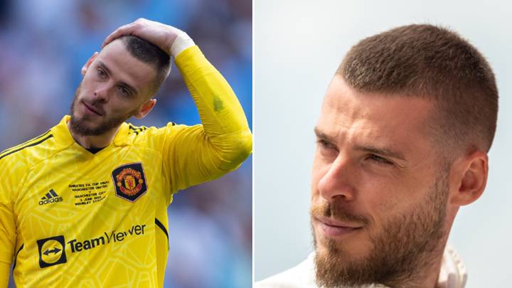 Steven Gerrard's Al Ettifaq 'plotting shock move for Man Utd legend David de Gea'