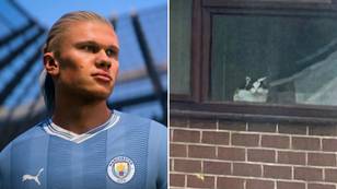 Reddit user goes viral after revealing EA FC 24 helped save his cat's life