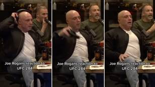 Footage emerges of Joe Rogan watching Makhachev vs. Volkanovski, his reaction says it all